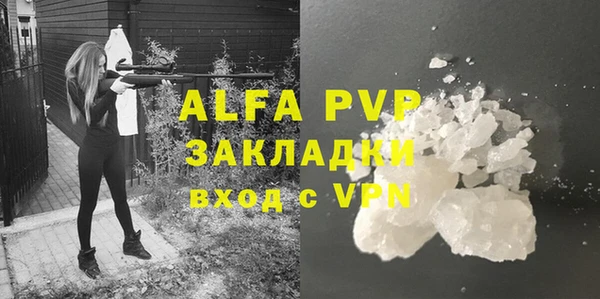 твердый Абаза