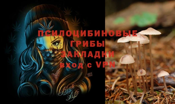 твердый Абаза