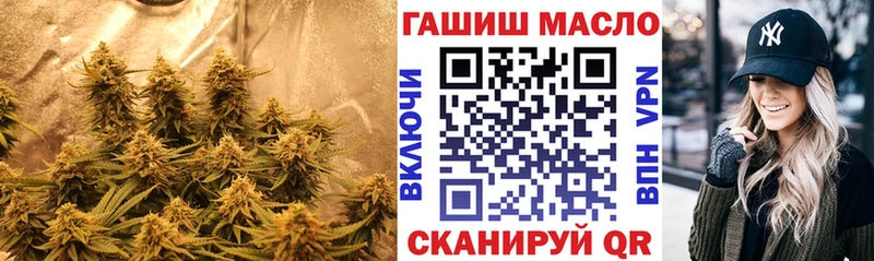 где найти Подпорожье Дистиллят ТГК THC oil