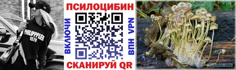 даркнет сайт  Подпорожье  Псилоцибиновые грибы Magic Shrooms 